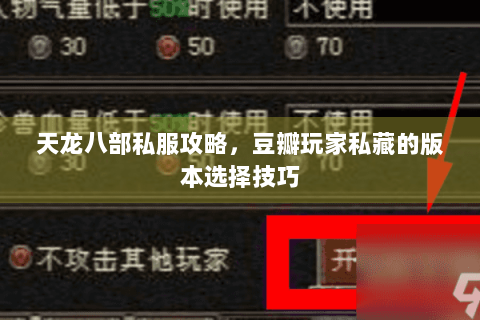 天龙八部私服攻略，豆瓣玩家私藏的版本选择技巧