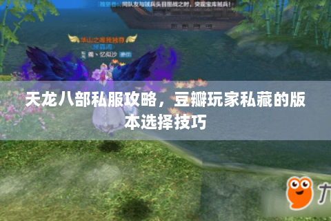 天龙八部私服攻略，豆瓣玩家私藏的版本选择技巧