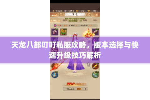 天龙八部叮叮私服攻略，版本选择与快速升级技巧解析