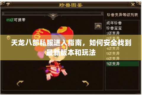 天龙八部私服进入指南，如何安全找到最新版本和玩法