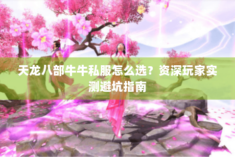 天龙八部牛牛私服怎么选？资深玩家实测避坑指南