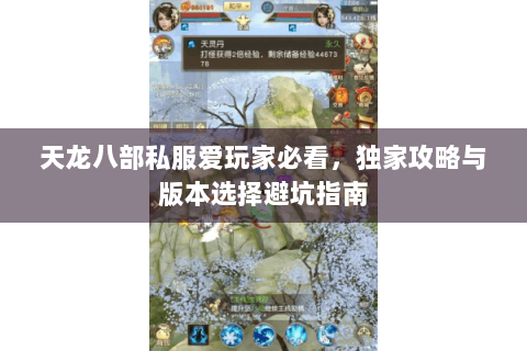天龙八部私服爱玩家必看,独家攻略与版本选择避坑指南 天龙八部私服爱玩家必看,独家攻略与版本选择避坑指南