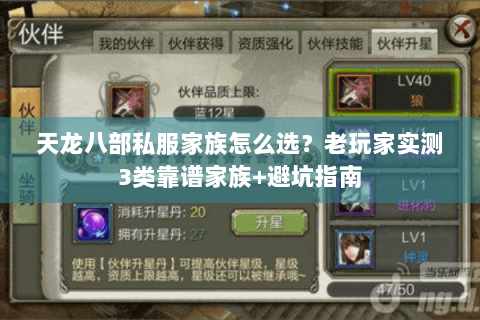 天龙八部私服家族怎么选?老玩家实测3类靠谱家族+避坑指南 天龙八部私服家族怎么选?老玩家实测3类靠谱家族+避坑指南