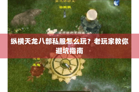 纵横天龙八部私服怎么玩？老玩家教你避坑指南