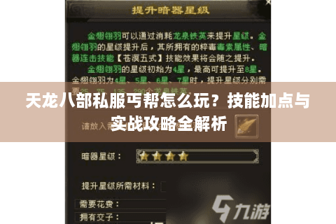 天龙八部私服丐帮怎么玩？技能加点与实战攻略全解析
