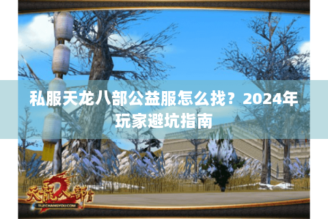 私服天龙八部公益服怎么找？2024年玩家避坑指南
