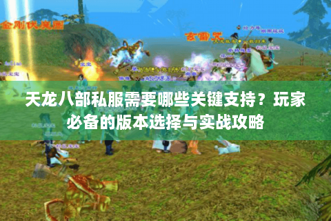 天龙八部私服需要哪些关键支持？玩家必备的版本选择与实战攻略