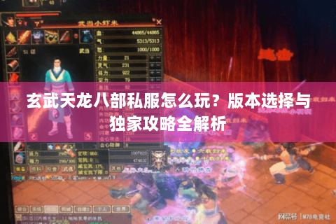 玄武天龙八部私服怎么玩？版本选择与独家攻略全解析