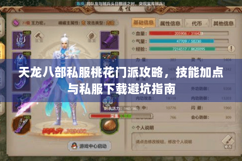 天龙八部私服桃花门派攻略，技能加点与私服下载避坑指南
