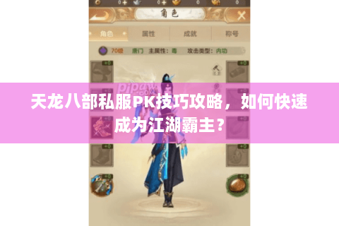 天龙八部私服PK技巧攻略，如何快速成为江湖霸主？