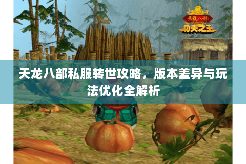 天龙八部私服转世攻略，版本差异与玩法优化全解析