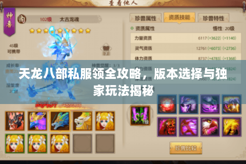 天龙八部私服领全攻略，版本选择与独家玩法揭秘