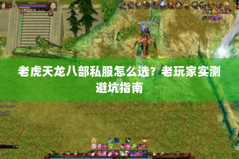 老虎天龙八部私服怎么选？老玩家实测避坑指南
