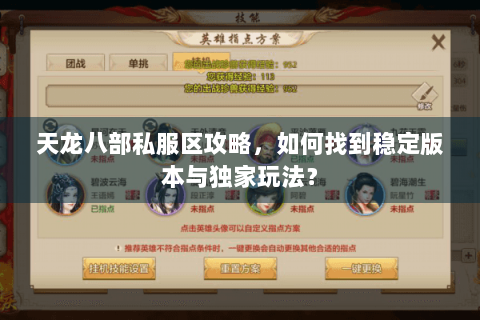天龙八部私服区攻略，如何找到稳定版本与独家玩法？