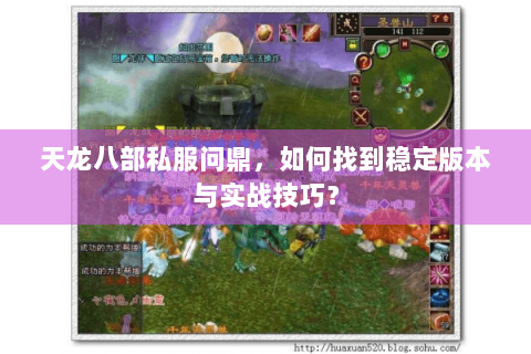 天龙八部私服问鼎，如何找到稳定版本与实战技巧？