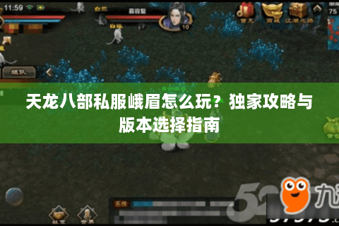 天龙八部私服峨眉怎么玩？独家攻略与版本选择指南