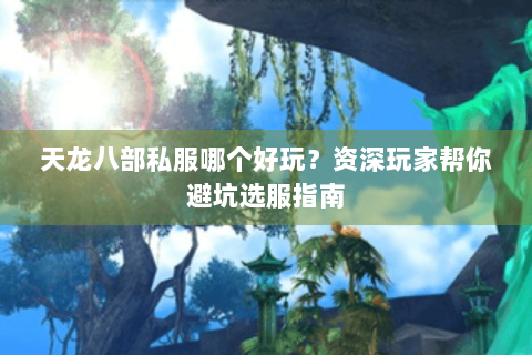 天龙八部私服哪个好玩?资深玩家帮你避坑选服指南 天龙八部私服哪个好玩?资深玩家帮你避坑选服指南