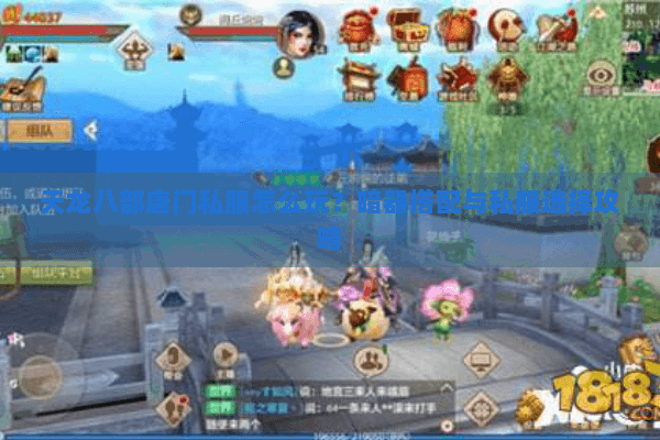 天龙八部唐门私服怎么玩？暗器搭配与私服选择攻略