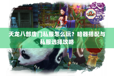 天龙八部唐门私服怎么玩？暗器搭配与私服选择攻略
