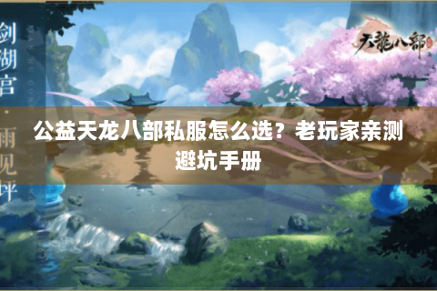 公益天龙八部私服怎么选？老玩家亲测避坑手册