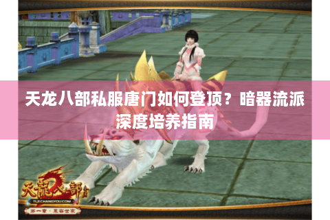 天龙八部私服唐门如何登顶？暗器流派深度培养指南