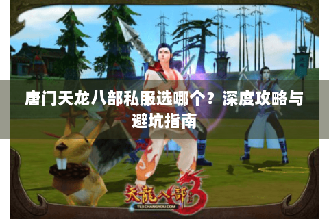 唐门天龙八部私服选哪个？深度攻略与避坑指南