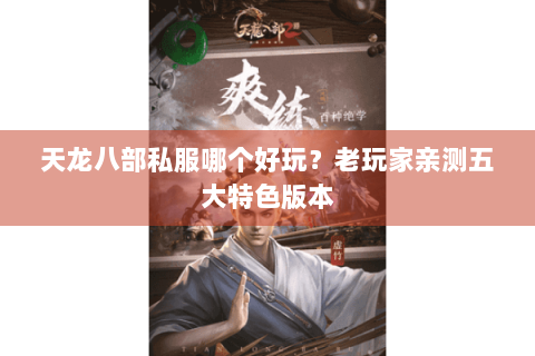 天龙八部私服哪个好玩？老玩家亲测五大特色版本