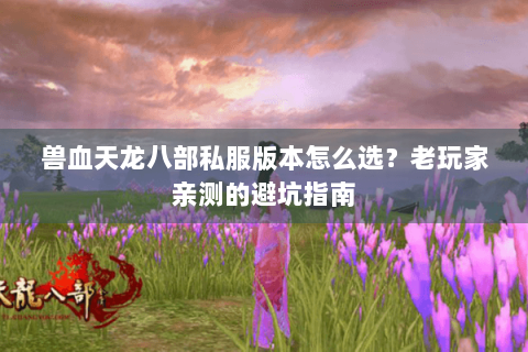 兽血天龙八部私服版本怎么选？老玩家亲测的避坑指南