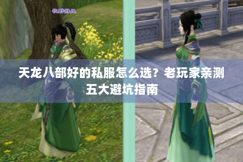 天龙八部好的私服怎么选？老玩家亲测五大避坑指南