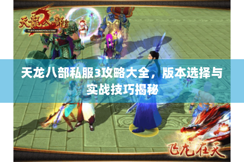 天龙八部私服3攻略大全，版本选择与实战技巧揭秘
