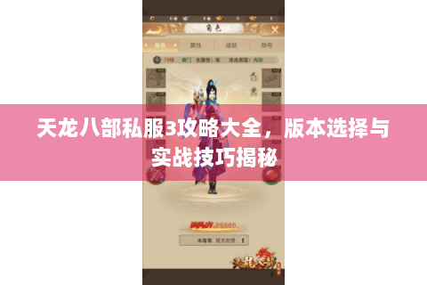 天龙八部私服3攻略大全，版本选择与实战技巧揭秘
