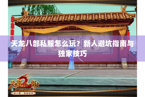 天龙八部私服怎么玩？新人避坑指南与独家技巧