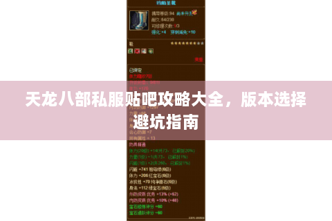 天龙八部私服贴吧攻略大全，版本选择避坑指南