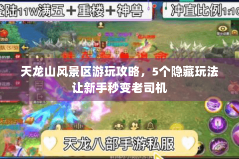 天龙山风景区游玩攻略，5个隐藏玩法让新手秒变老司机