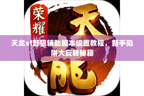 天龙sf野狼辅助脚本设置教程，新手陷阱大反转秘籍