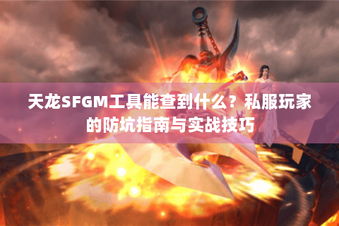 天龙SFGM工具能查到什么？私服玩家的防坑指南与实战技巧