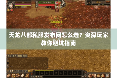 天龙八部私服发布网怎么选？资深玩家教你避坑指南