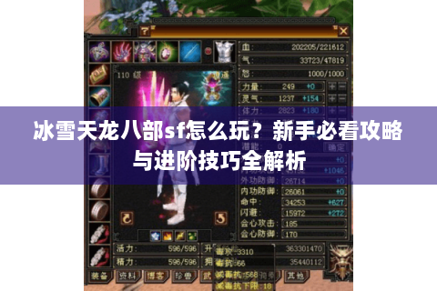 冰雪天龙八部sf怎么玩？新手必看攻略与进阶技巧全解析