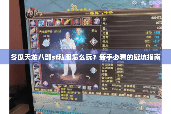 冬瓜天龙八部sf私服怎么玩？新手必看的避坑指南