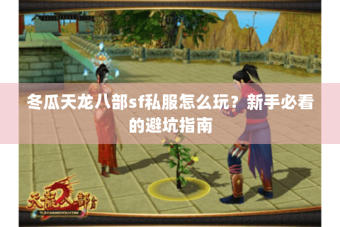 冬瓜天龙八部sf私服怎么玩？新手必看的避坑指南