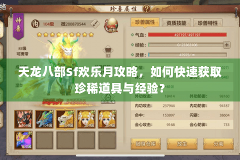 天龙八部Sf欢乐月攻略，如何快速获取珍稀道具与经验？