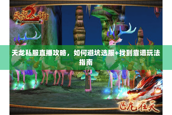 天龙私服直播攻略，如何避坑选服+找到靠谱玩法指南