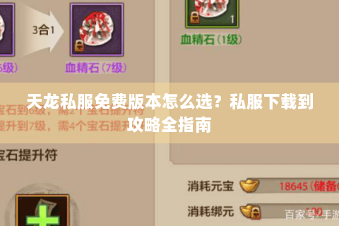 天龙私服免费版本怎么选？私服下载到攻略全指南