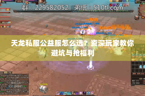 天龙私服公益服怎么选？资深玩家教你避坑与抢福利