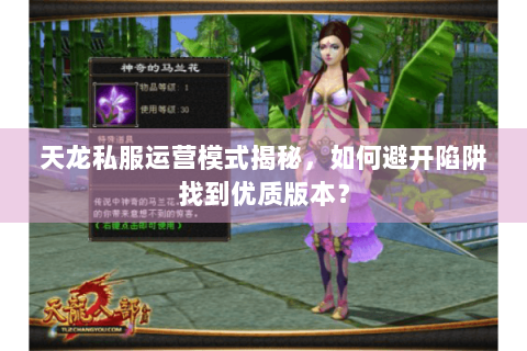 天龙私服运营模式揭秘，如何避开陷阱找到优质版本？