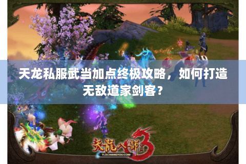 天龙私服武当加点终极攻略，如何打造无敌道家剑客？