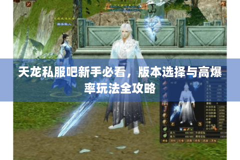 天龙私服吧新手必看，版本选择与高爆率玩法全攻略