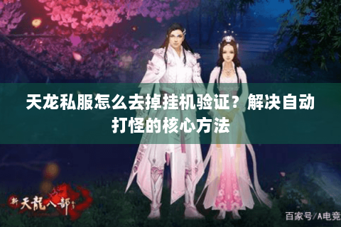 天龙私服怎么去掉挂机验证？解决自动打怪的核心方法