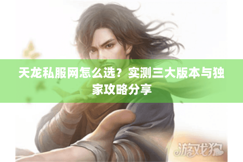 天龙私服网怎么选？实测三大版本与独家攻略分享