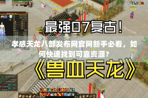 孝感天龙八部发布网官网新手必看，如何快速找到可靠资源？